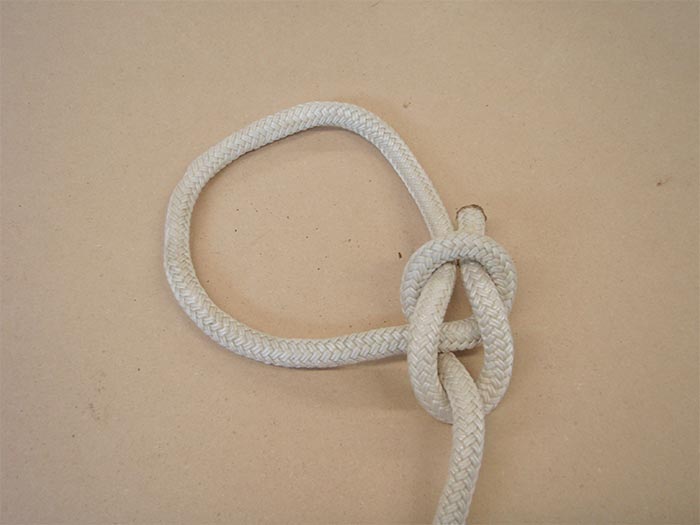 how to tie bowline knot step by step. Bowline step three.