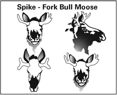 hunting term spike definition