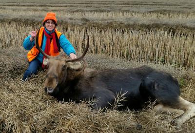 Grade A - Grain Fed Alberta Moose