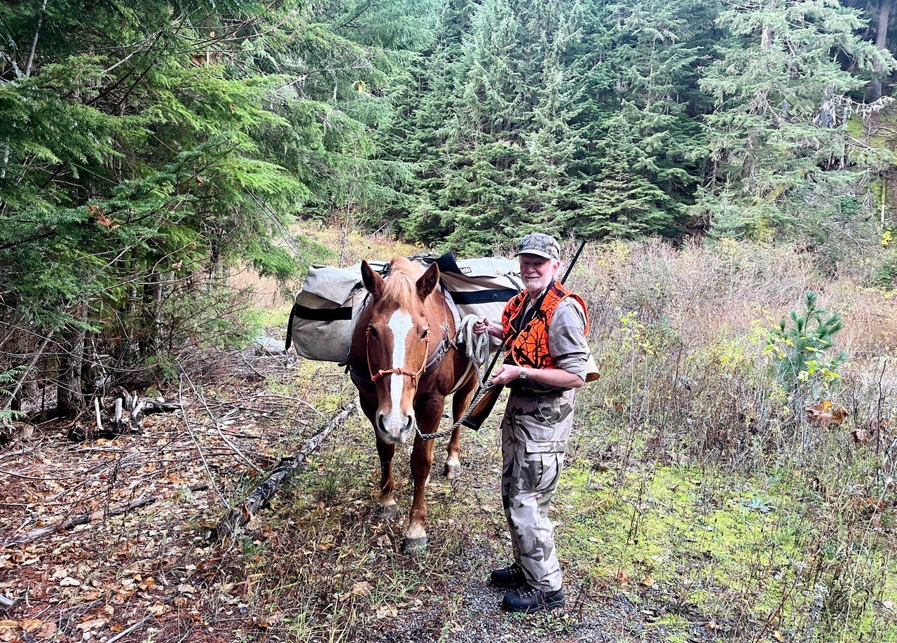 montana-moose-hunt-horse-pack.jpg